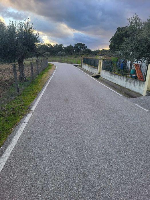 Terreno em cafede castelo branco