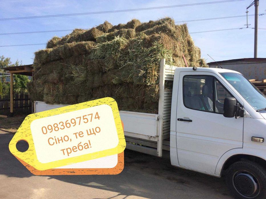 Продам сіно Киів обл в тюках, власник. Самовивіз.  Доставка сіна.