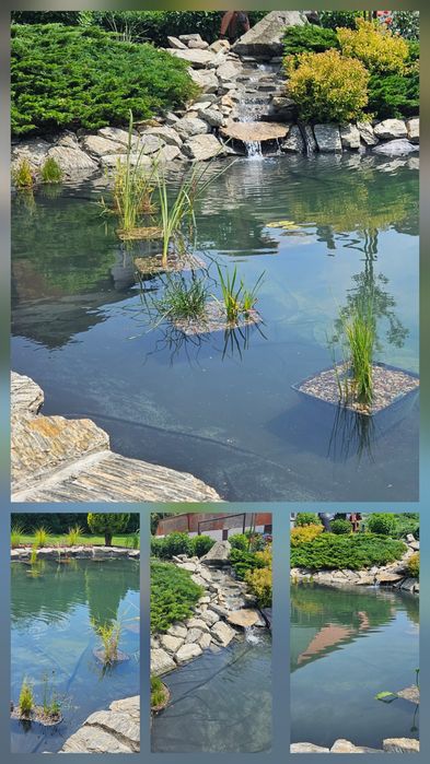 Zakładanie pielęgnacja ogrodów,Usługi ogrodnicze,Nawadnianie, Trawniki