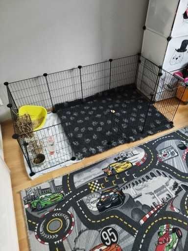 Klatka dla gryzoni królików świnki morskiej psa kota NOWA modułowa