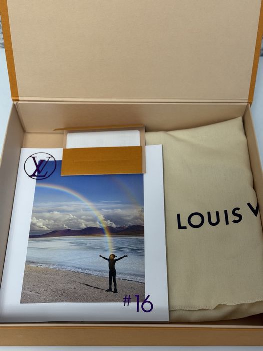 Сумка Louis Vuitton