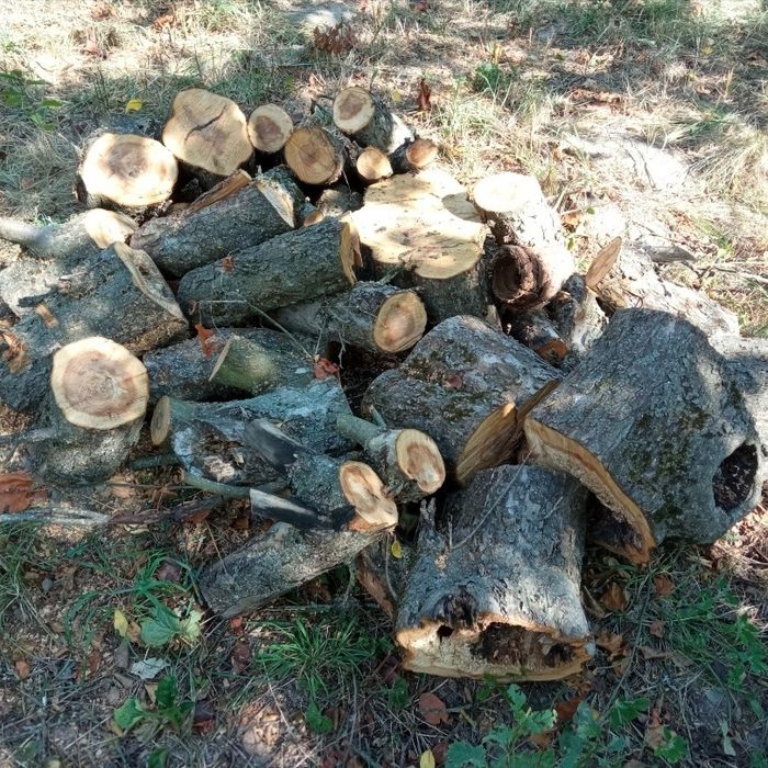 Продам пеньки, дрова.