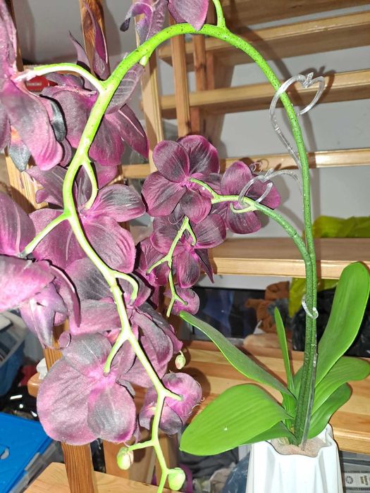 FEJKA Sztuczna roślina doniczkowa, Orchidea fioletowa storczyk 80 cm