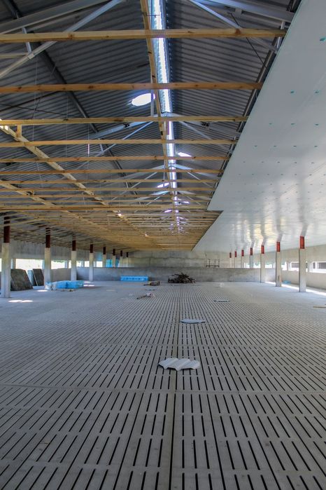 Płyty Ocieplające Izolacja Tuczarni Kurnika Obory Styrodur XPS AGRO