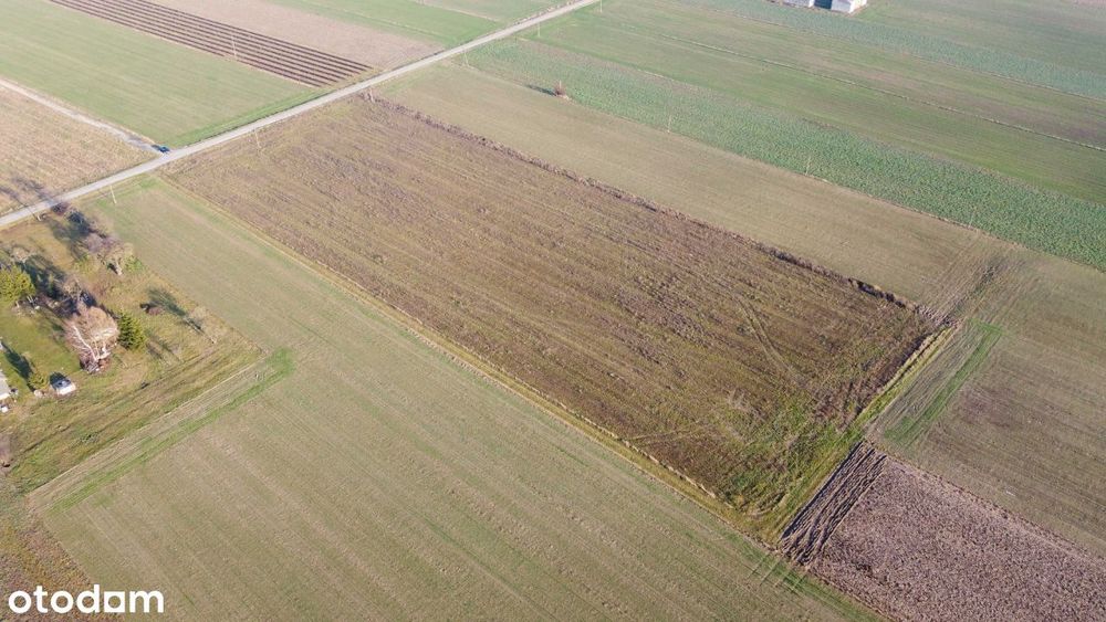 Działki budowlane od 10 do 15 arów koło Zbuczyna - Widok 4