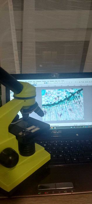 Mikroskop Levenhuk Rainbow 2L z kamerą M35 BASE (40x-400x)