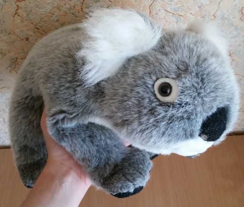 Мягкая плюшевая игрушка коала 37см. іграшка м'яка