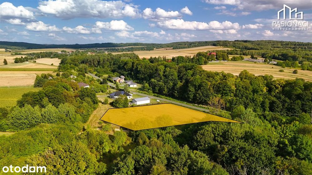 Piękna działka z widokiem | 7229 m² - Widok 3