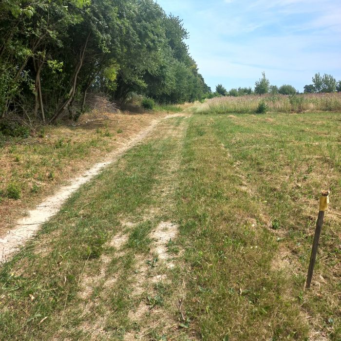 Земельна ділянка для будівництва в с.Дуліби