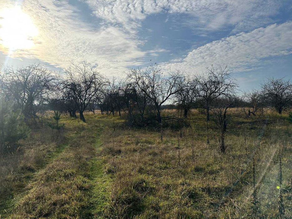Продаж ділянки 10 соток під забудову. Біля лісу.Зручний під'їзд.ID:728