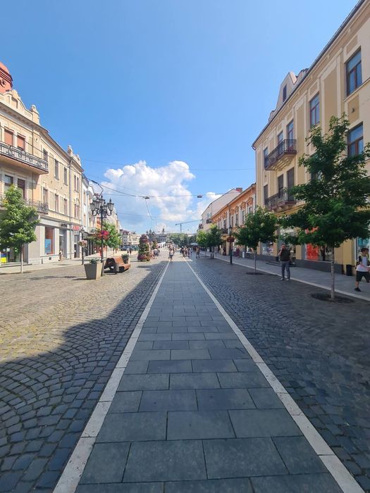 Здається в оренду кв-ра поруч з Набережною біля Угорського консульства
