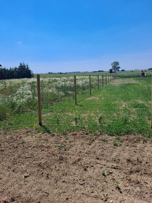 Ogrodzenie budowlane leśne tymczasowe 15zl