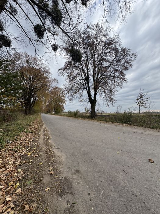 Продаж ділянки в с.Оброшине (під будівництво).