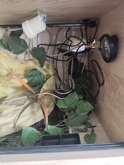 Terrarium dla gadów z wyposażeniem