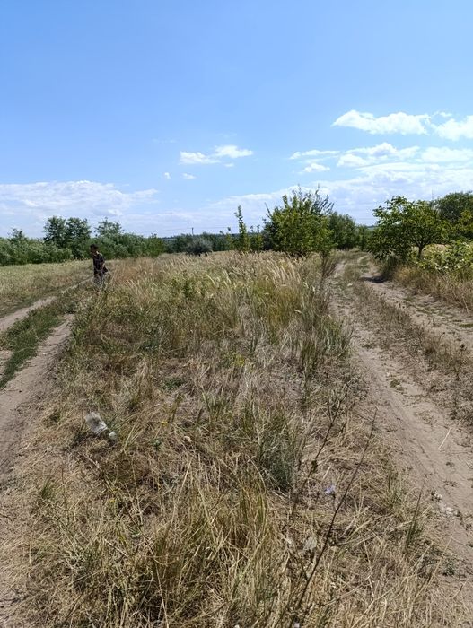 Продажа ровного участка в Таромском