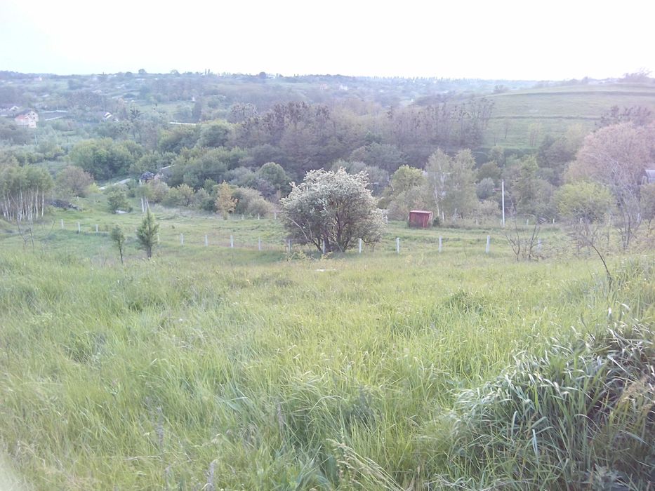 Продам  дачу с.Рославичі, Васильківський район