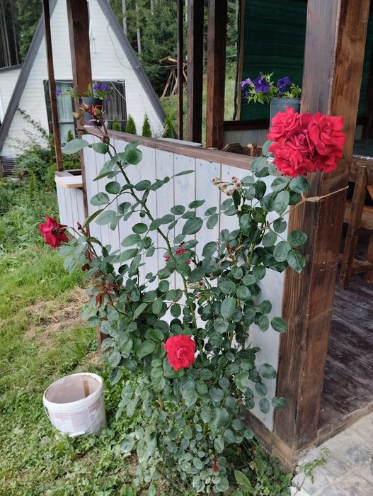 Продаж частини будинку в Карпатах Івано-франківська об. с. Яблуниця