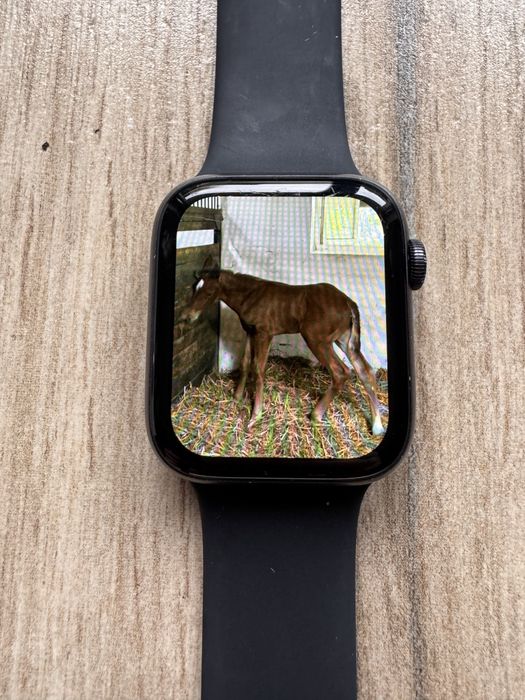 Apple Watch 5 44 mm GPS Cellular LTE eSim