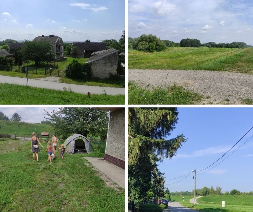 Dom Tarnobrzeg, Dzików, nastepne oględziny w dniu 15.08.26