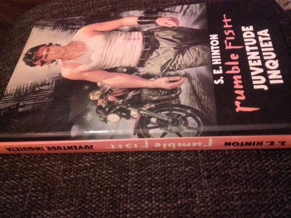Livro "juventude inquieta" S.E. Hinton
