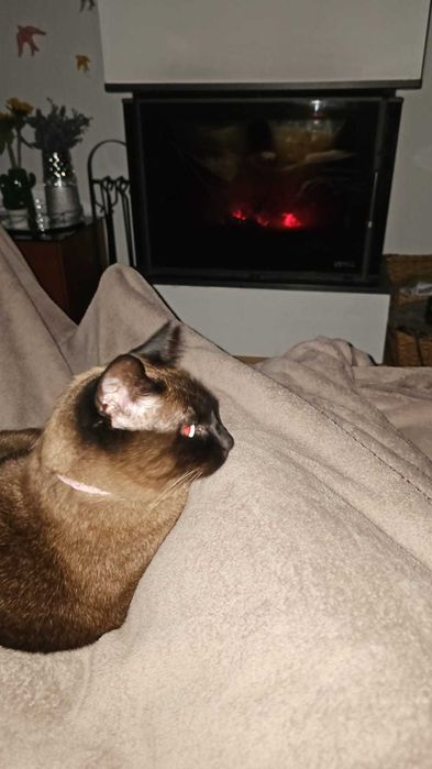 Candeeiro quarto com lâmpada