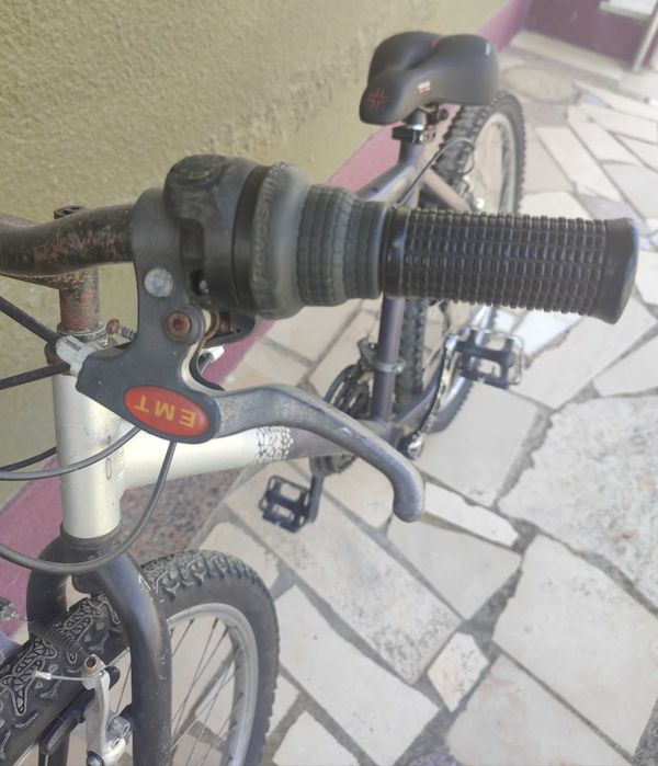 Bicicleta adulto
