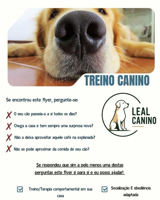 Treino Canino e Modificação Comportamental ao Domicílio