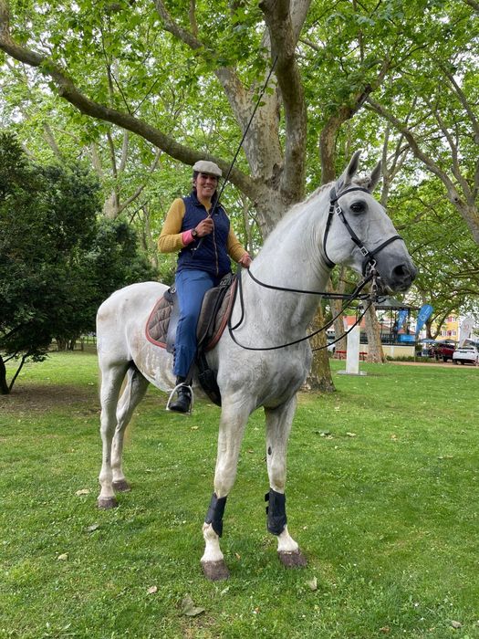 Cavalo Garanhão PSL