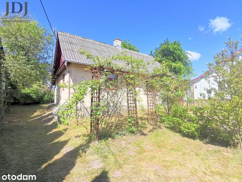 Dom drewniany 80 m2. Działka 38 ar. Wojsławice