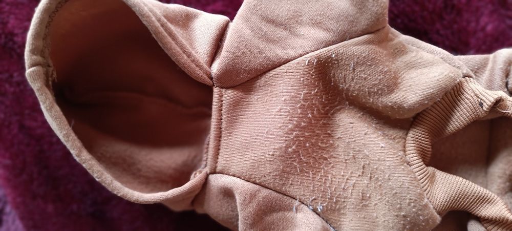 2 camisolas para cão. Uma azul e a outra castanho. Com algum uso