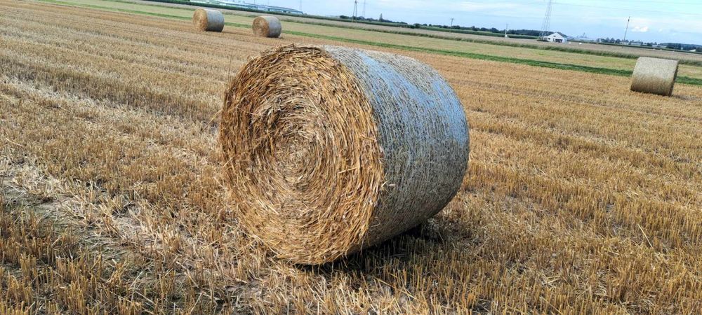 Sprzedam Sucha Słoma Siano oraz Sianokiszonka. Cena z Transportem
