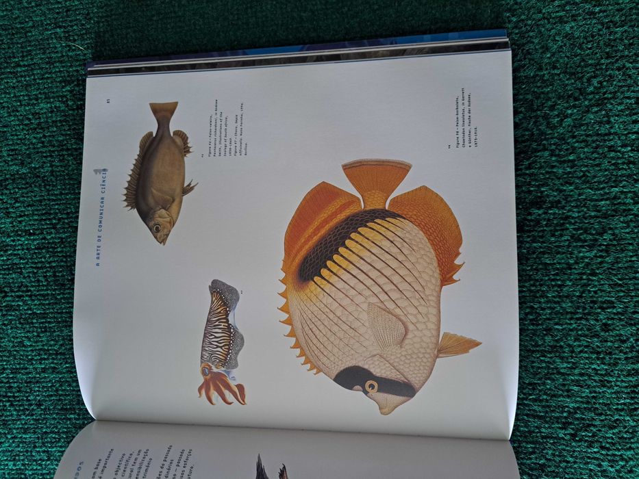 Pavilhão dos Oceanos - Catálogo Oficial- EXPO 98