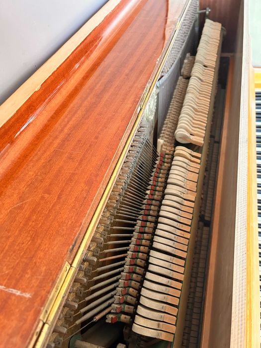 Pianino Calisia Menuet 105