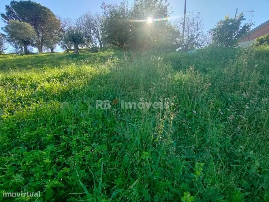 Terreno Urbano com 830m2 - São Simão, Tomar — Além Da Ribeira E Pedreira, Santarém
