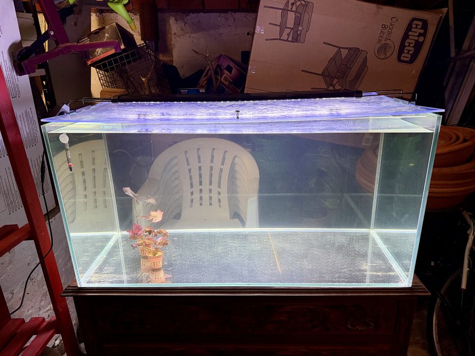 Aquário 250 Litros