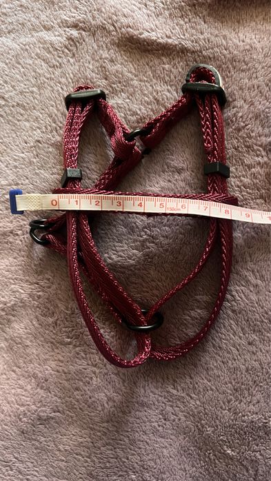 Ошейник для кота чи собаки