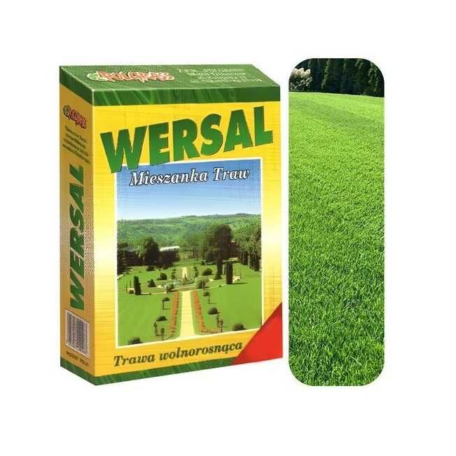 Trawa Ozdobna Wersal ogród trawnik nasiona traw ziemia grys Kaskada