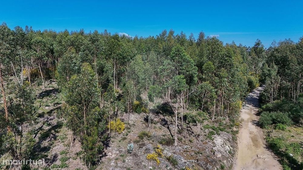 Terreno  para venda — Fonte Arcada, Porto