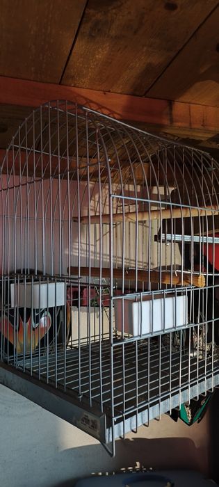 Gaiola papagaio nova
