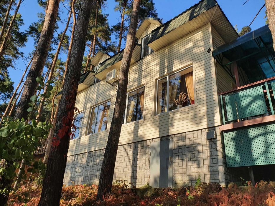 Подобова оренда сучасного будинку на березі Дніпра в сосновому лісі.