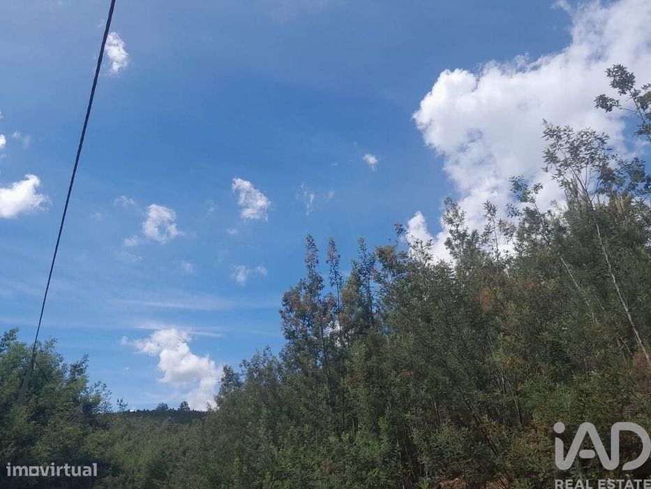 Terreno em Cortes do Meio