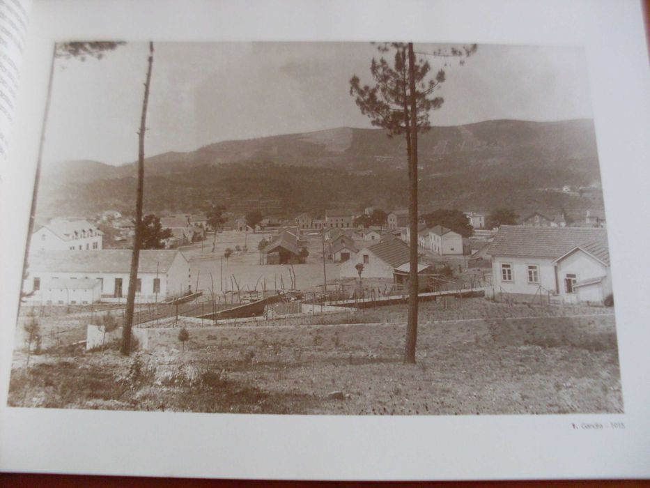 Vale de Cambra -Meio século com Imagens