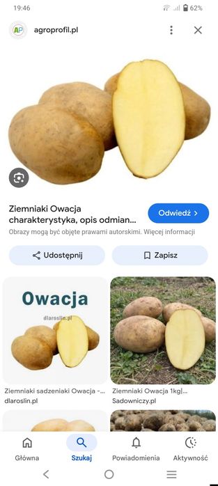 Ziemniaki owacja