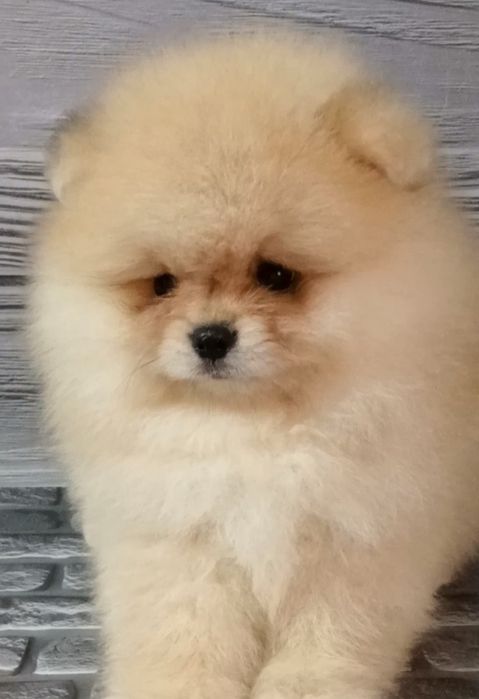 Неймовірний малюк