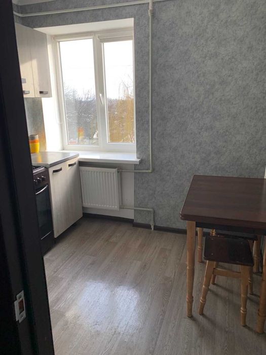 Здаю однокімнатну квартиру   (Центр)