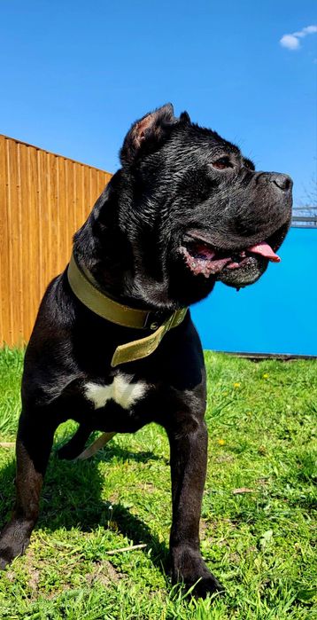 Хлопчик чекає зустрічі