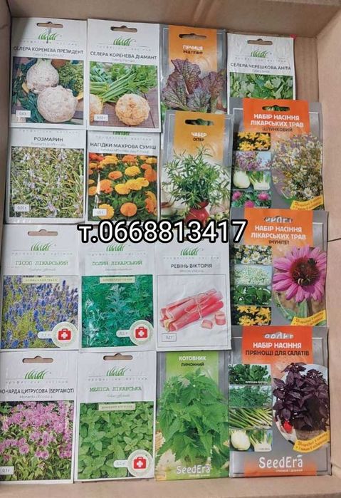 Лікарські рослини Ківано Мелотрія Мамордика Шалфей Лаванда Тархун Чере