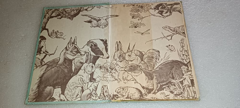 Livro antigo Au pays des bêtes anos 50 edição belga