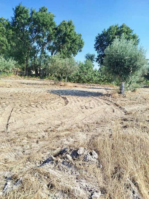 Horta agrícola em Alcains