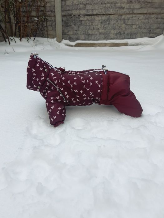 Швея надомница одяг для собак